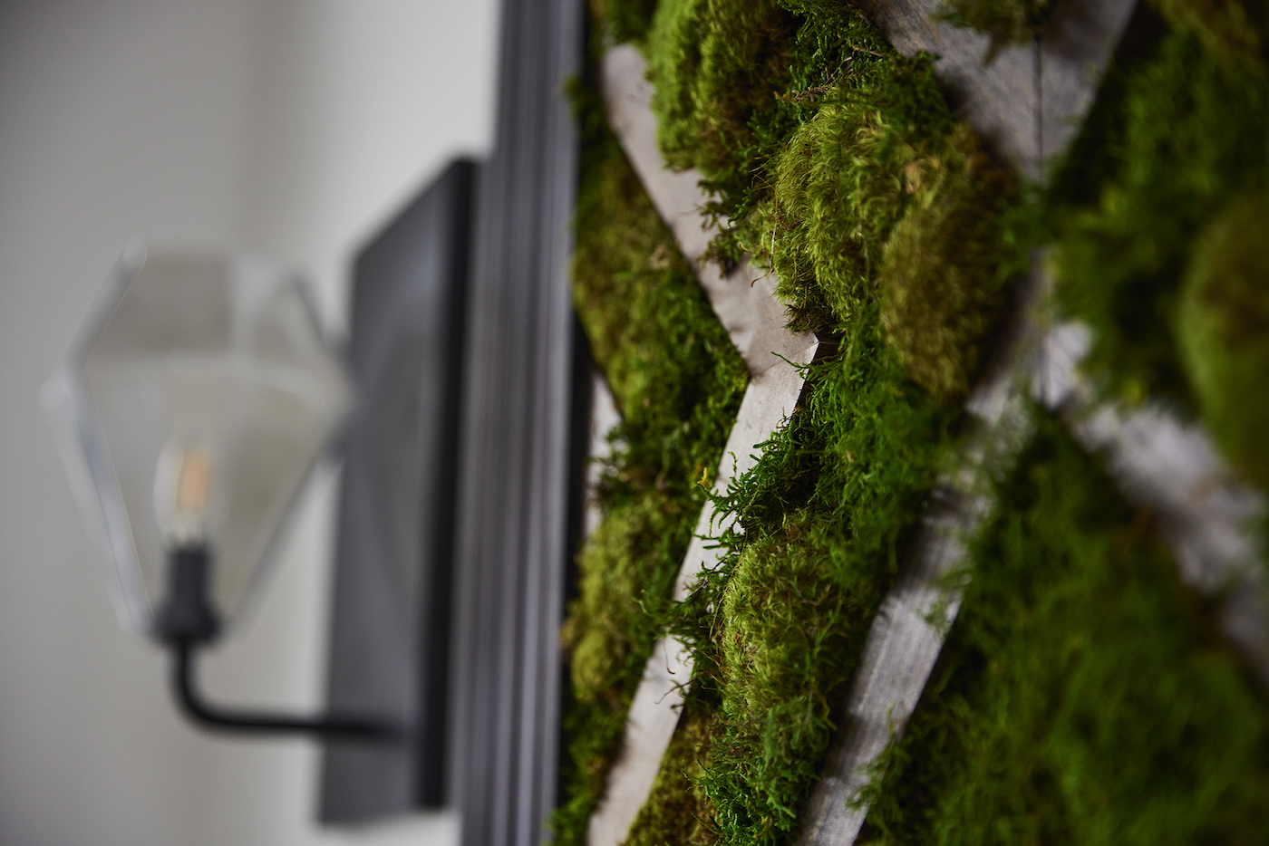moss-wall-interior-design-dwell-and-gather-interior-design